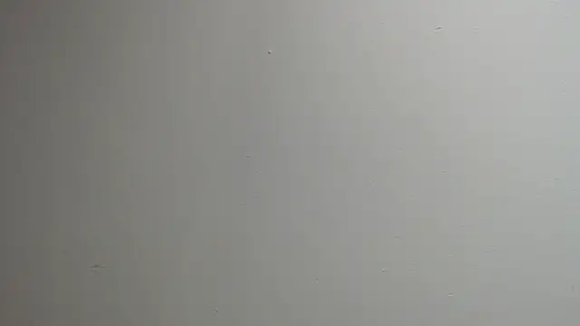 sussy leon online show from March 13, 12:35 pm