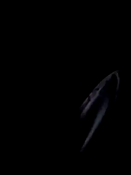 Inkognito0495 online show from October 29, 5:31 am