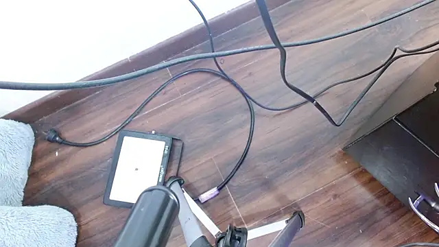 Aurora blossom   online show from December 24, 12:22 pm