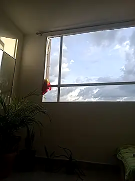 Snapshot of Dangerouspassion777 chatting on September 30, 10:04 pm Dangerouspassion777 online show from September 30, 10:04 pm