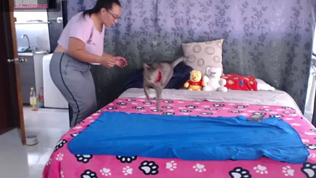 miia-big1boobs  online show from April 22, 5:58 pm