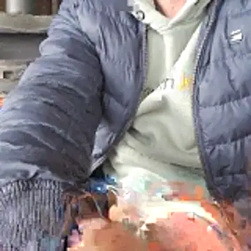 Lumpi1988A online show from February 19, 11:39 am