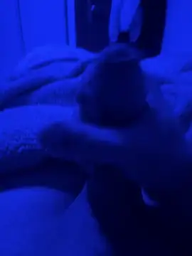 paolone79037 online show from April 22, 9:05 pm