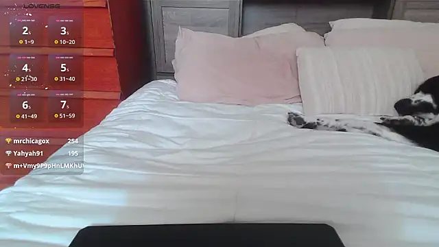 Snapshot of Kittyymaze1 chatting on January 11, 4:57 pm Kittyymaze1 online show from January 11, 4:57 pm