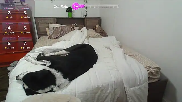 Snapshot of Kittyymaze1 chatting on February 25, 1:28 pm Kittyymaze1 online show from February 25, 1:28 pm