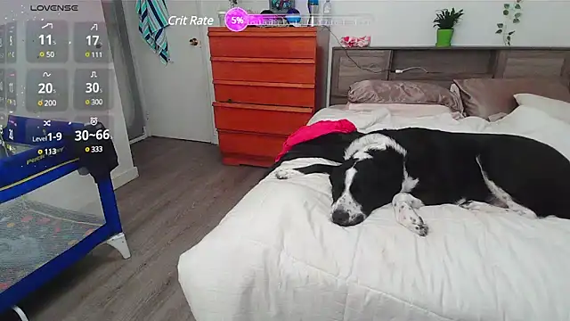 Snapshot of Kittyymaze1 chatting on March 2, 2:32 pm Kittyymaze1 online show from March 2, 2:32 pm