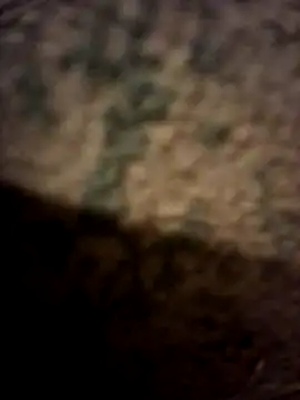 Snapshot of all_the_fun_you_want chatting on July 31, 12:54 am all the fun you want online show from July 31, 12:54 am