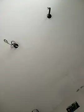 ExMonki 13  online show from November 5, 1:22 pm