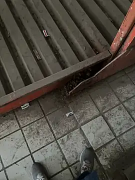 A-mira online show from March 21, 9:56 am