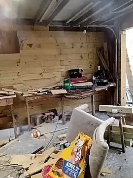 Buffshagswell online show from November 13, 4:06 pm