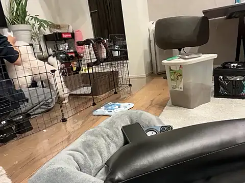 kensnb online show from November 1, 9:11 am