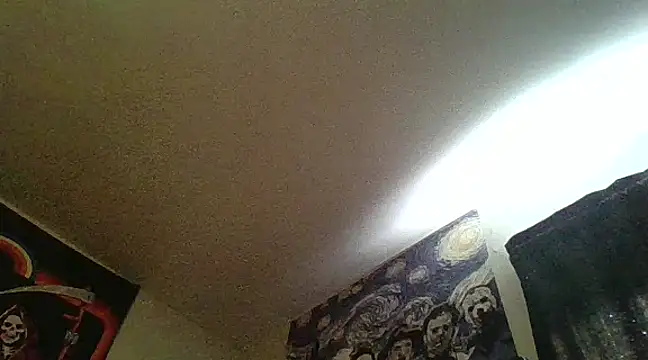 Snapshot of clitstitsandbongrips chatting on February 13, 9:17 pm clitstitsandbongrips online show from February 13, 9:17 pm