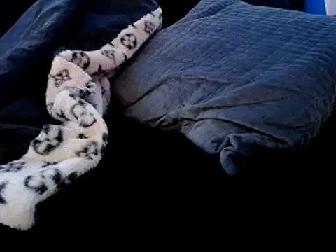 Snapshot of Niquitasparkles chatting on December 22, 9:31 pm Niquitasparkles online show from December 22, 9:31 pm