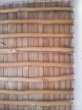 Atabey 65 online show from December 3, 12:03 pm