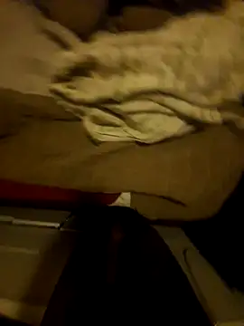 Snapshot of the666D chatting on March 29, 3:06 am the666D online show from March 29, 3:06 am