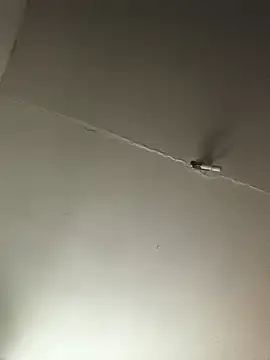 Ozomitro online show from October 25, 2:35 pm