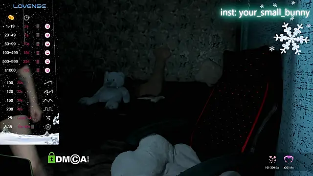 Your small bunny online show from February 5, 2:05 am