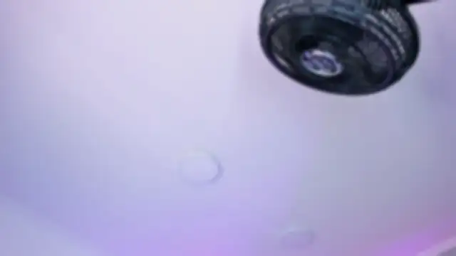 AmberiniHoffman online show from October 26, 12:11 pm