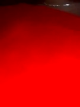 sara pineros online show from December 28, 12:04 am