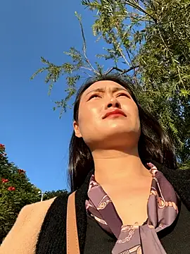 Lfeiji online show from November 26, 8:37 am