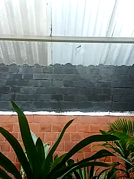 Snapshot of luchoarr chatting on November 14, 12:59 pm luchoarr online show from November 14, 12:59 pm