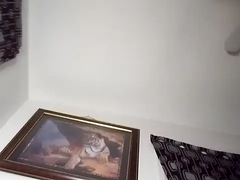 gemini12838 online show from January 13, 2:39 am