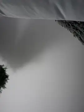 Aryrosee online show from January 3, 3:49 am