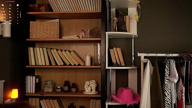 Snapshot of DarylBarks chatting on November 4, 1:05 am DarylBarks online show from November 4, 1:05 am