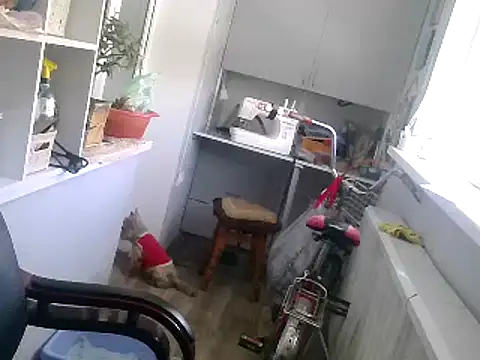 TanyaSweet634 online show from February 22, 10:40 am