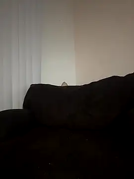 ladylavish online show from December 19, 2:29 am