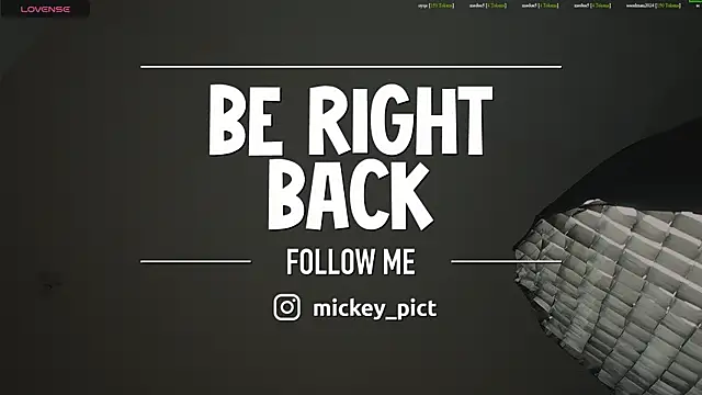 Snapshot of mickeypict chatting on July 5, 4:19 am mickeypict online show from July 5, 4:19 am