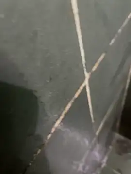 Snapshot of gzn01 chatting on October 28, 4:49 am gzn01 online show from October 28, 4:49 am