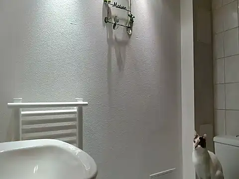 Lauzo21 online show from March 20, 6:29 am