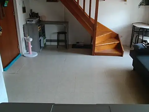 Lauzo21 online show from April 29, 5:33 am