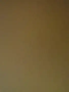 Tamilrojanew online show from April 11, 5:23 am