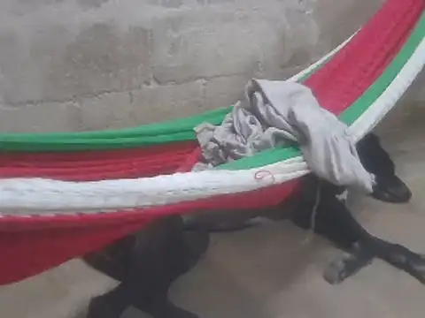 Snapshot of tripexnte chatting on February 16, 11:26 pm tripexnte online show from February 16, 11:26 pm