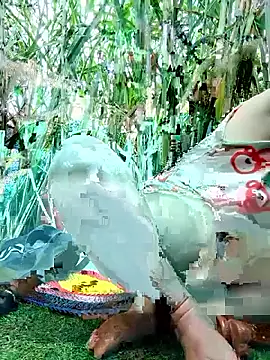 Snapshot of Betty20zx chatting on November 12, 2:01 am Betty20zx online show from November 12, 2:01 am