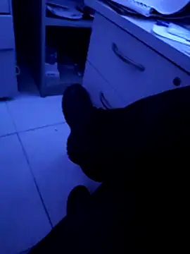 pedritolobito online show from April 11, 3:22 am