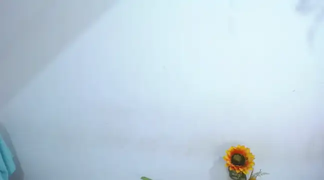 Snapshot of diamonmeli chatting on January 14, 3:57 pm diamonmeli online show from January 14, 3:57 pm