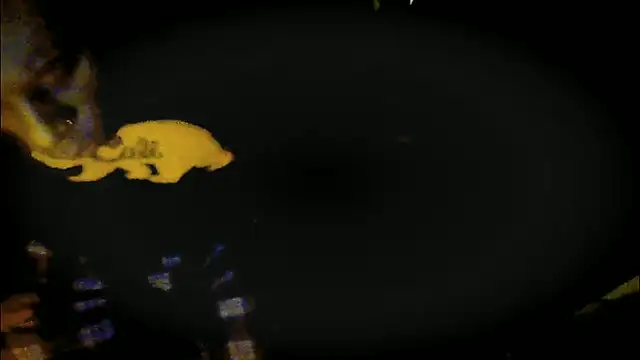 Pressure69mee online show from March 12, 9:24 pm