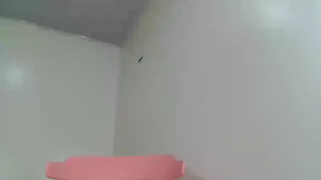 Full Fist online show from September 24, 2:31 pm