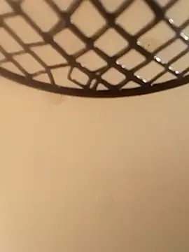 Snapshot of geilerschwanz64 chatting on December 24, 8:55 am geilerschwanz64 online show from December 24, 8:55 am