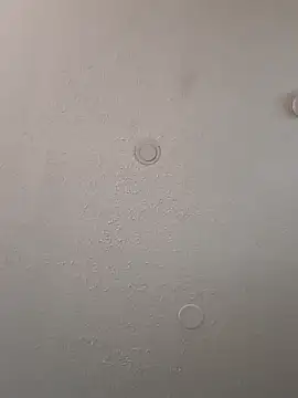 Snapshot of geilerschwanz64 chatting on January 6, 12:57 pm geilerschwanz64 online show from January 6, 12:57 pm