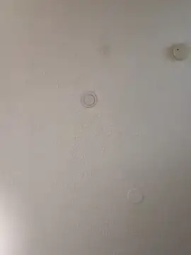 Snapshot of geilerschwanz64 chatting on January 10, 7:04 am geilerschwanz64 online show from January 10, 7:04 am