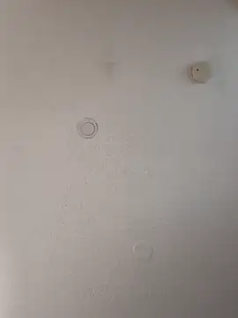 Snapshot of geilerschwanz64 chatting on January 18, 4:31 pm geilerschwanz64 online show from January 18, 4:31 pm