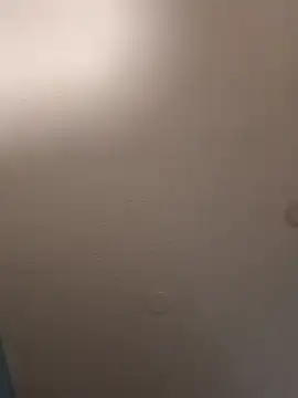 Snapshot of geilerschwanz64 chatting on January 19, 2:47 am geilerschwanz64 online show from January 19, 2:47 am