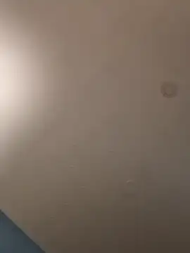 Snapshot of geilerschwanz64 chatting on January 21, 5:16 am geilerschwanz64 online show from January 21, 5:16 am