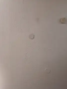 Snapshot of geilerschwanz64 chatting on February 6, 10:48 am geilerschwanz64 online show from February 6, 10:48 am