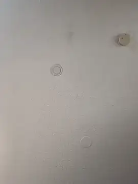 Snapshot of geilerschwanz64 chatting on February 21, 8:40 am geilerschwanz64 online show from February 21, 8:40 am