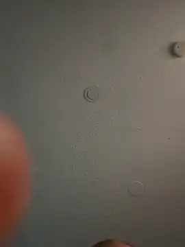 Snapshot of geilerschwanz64 chatting on March 6, 1:05 am geilerschwanz64 online show from March 6, 1:05 am